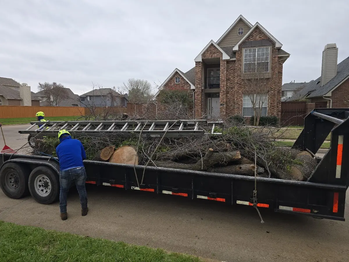 Expert Lot Clearing with proper safety equipment in Montgomery
